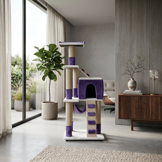 Gimnasio Premium Morado