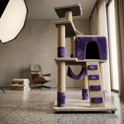 Gimnasio Premium Morado